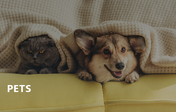 Pets